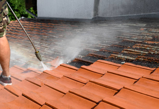 Best Deck Cleaning Services  in Palmyra, NJ
