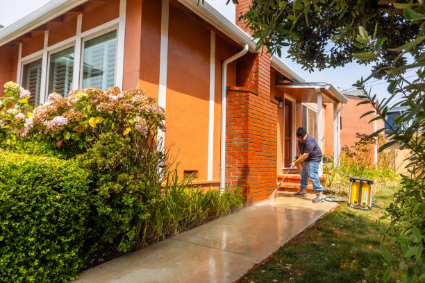 Best Pressure Washing Patio  in Palmyra, NJ