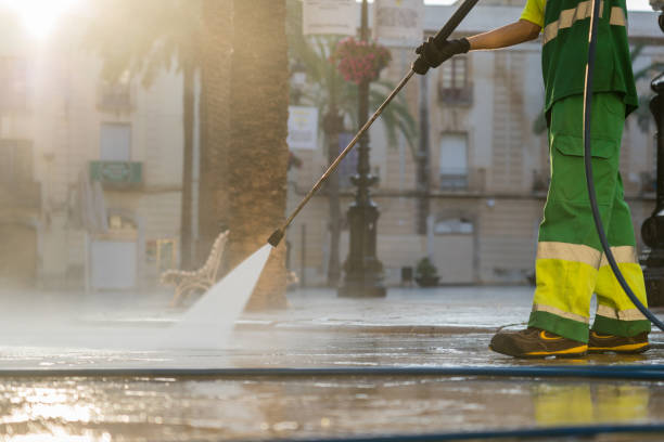 Best Local Pressure Washing Services  in Palmyra, NJ